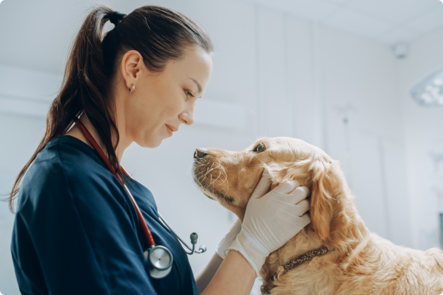 A smiling veterinary nurse holding books.